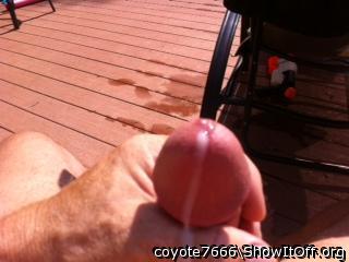 Photo of a short leg from coyote7666
