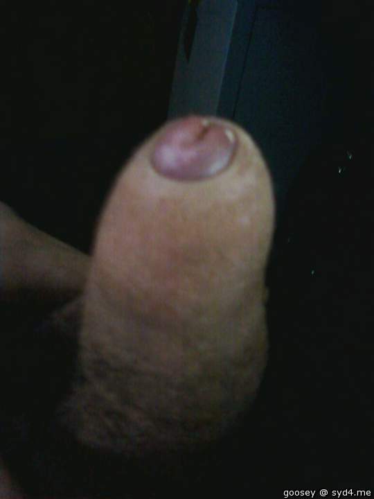 Photo of a horn from Goosey