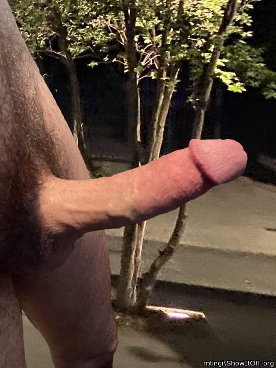 perfect suck toy!    