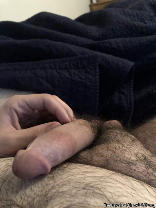 Photo of a cock from Tesuswalks