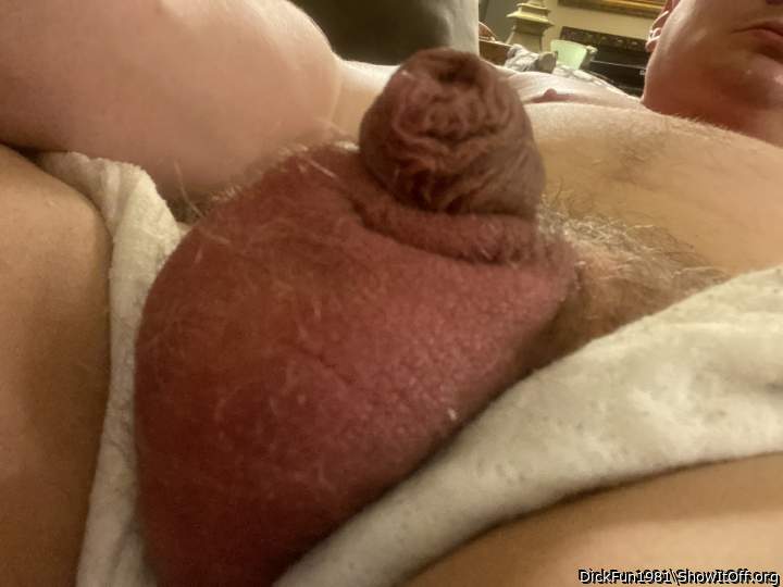 Testicles Photo from DickFun1981