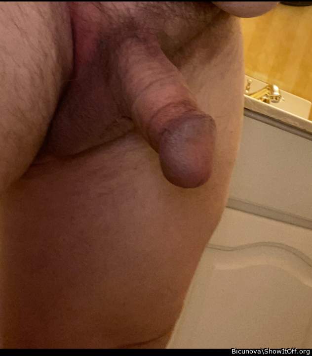 Photo of a cavalier from Bicunova