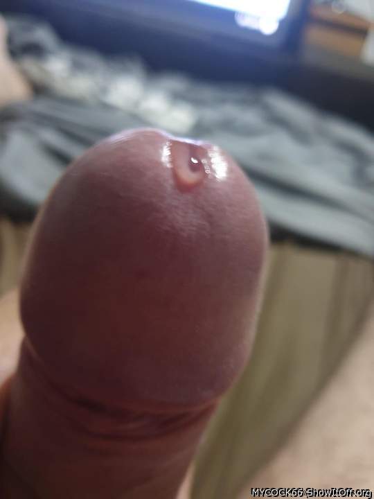 Photo of a horn from MYCOCK66