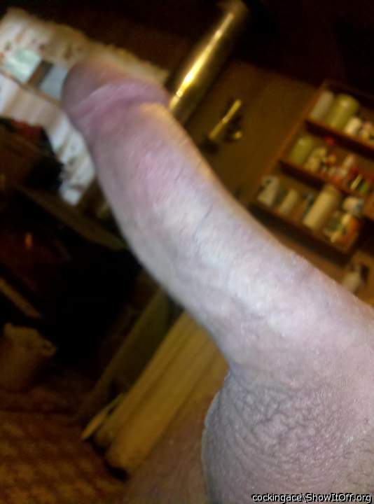 Damn boy!!!....I'd back this shit up for you!
