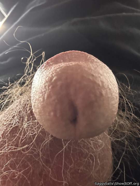 Photo of a rooster from Saggyballs