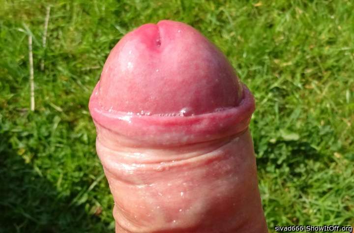 Photo of a thing from sivad666