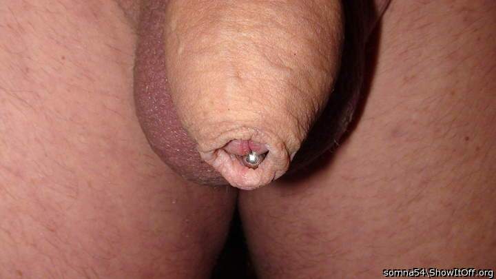Photo of a ram rod from somna54