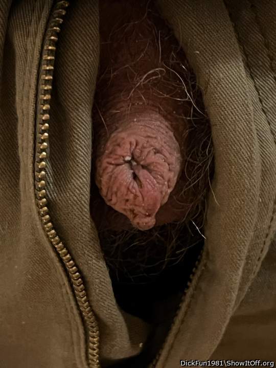Photo of a tool from DickFun1981