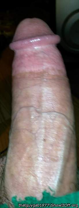 Photo of a bald-headed mouse from thatguygab1977