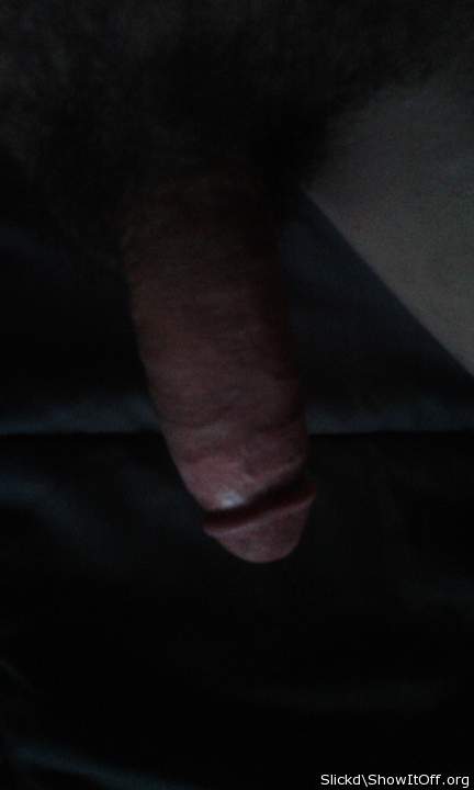 Photo of a stiffie from slickd