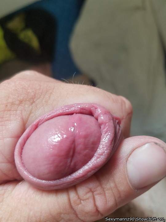 Photo of a python from Sexymannz90