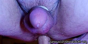 Adult image from curious10