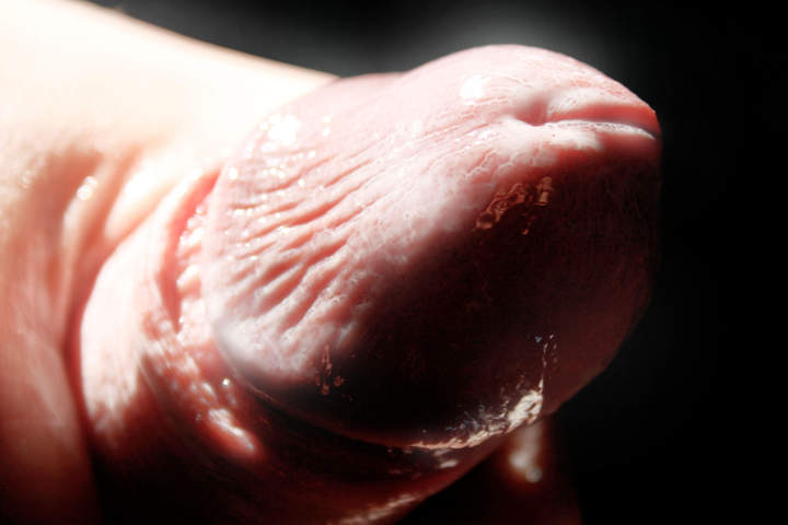 Photo of a short leg from Vanillacum
