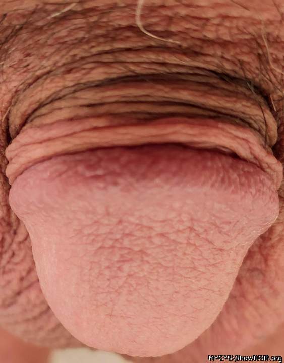 Photo of a meat stick from M*C*S