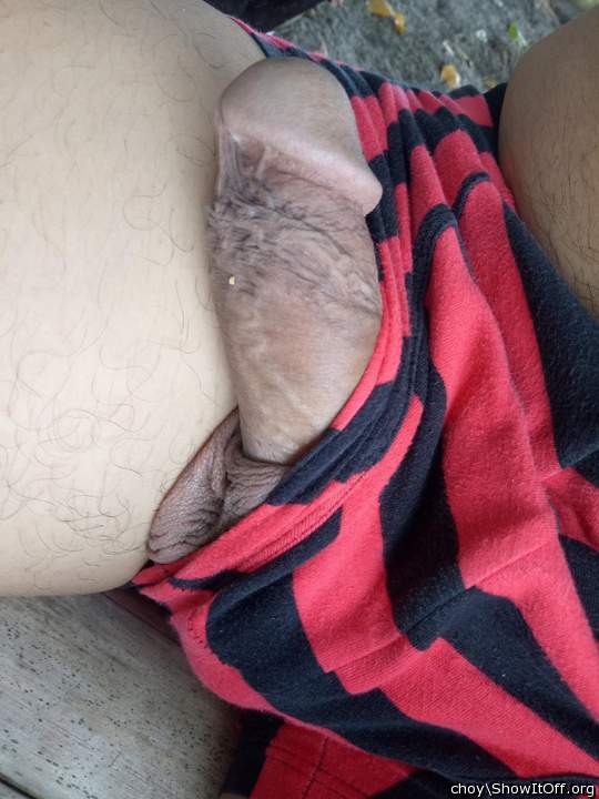 Photo of a dong from choy