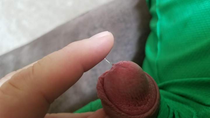 Photo of a snake from box72