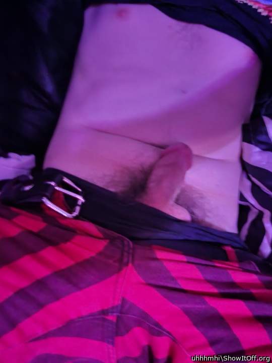 Photo of a lizard from uhhhmhi