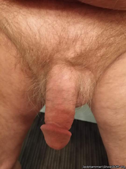  very beautiful Acorn