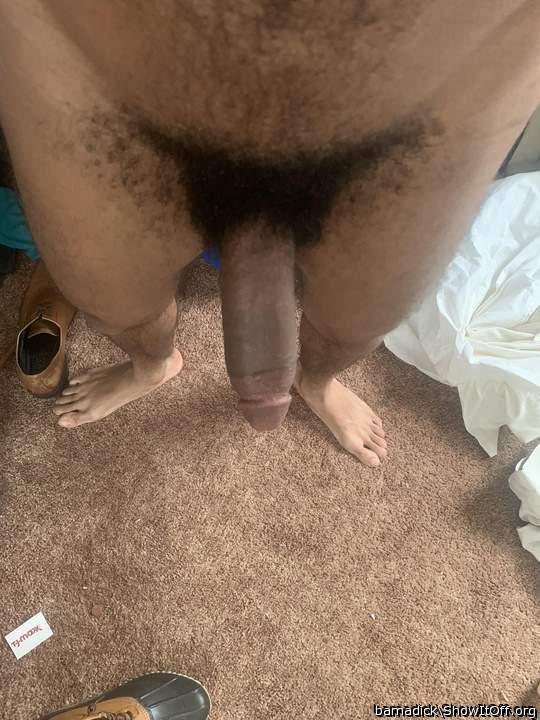 Photo of a schlong from bamadick