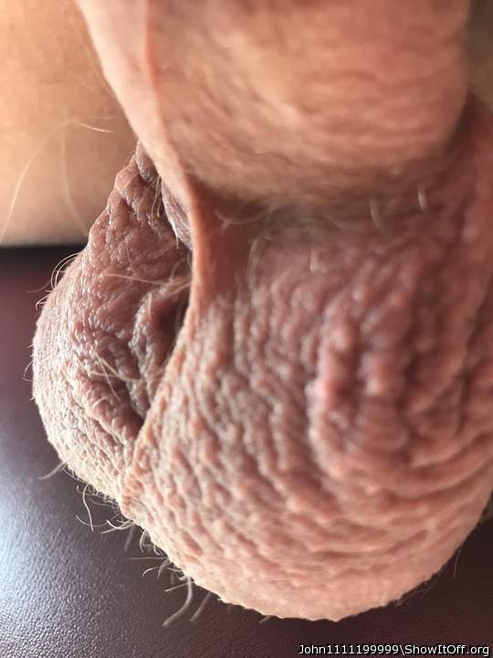 Testicles Photo from John1111199999