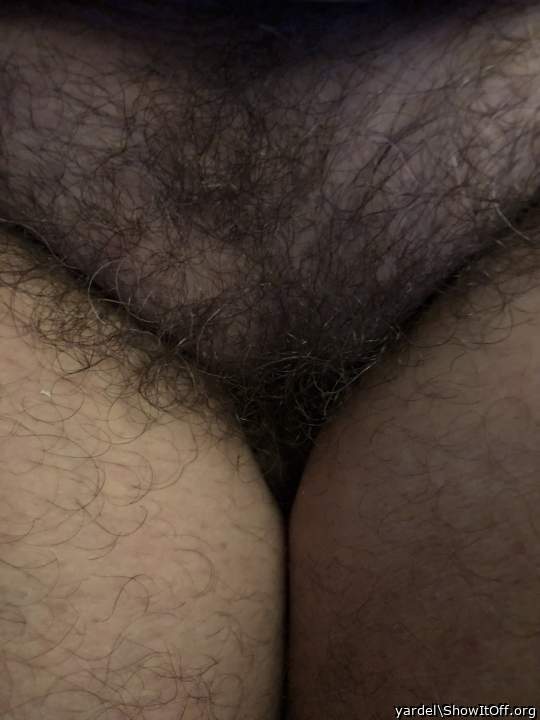 Hairy pussy ?