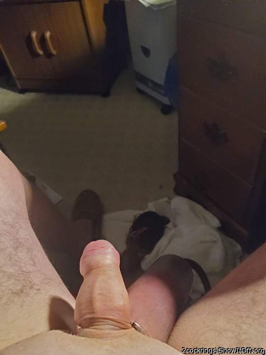 Good looking cock...