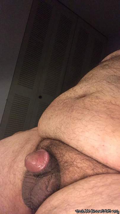 Photo of a rooster from chub39