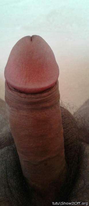 Photo of a tool from tutu