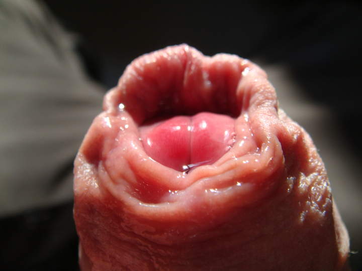 Photo of a purple headed monster from sivad666