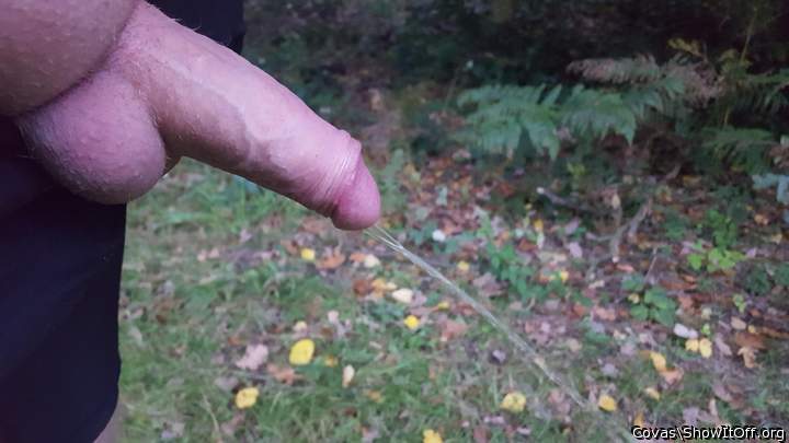 Nicht nur pissen ist im Wald sch�n!