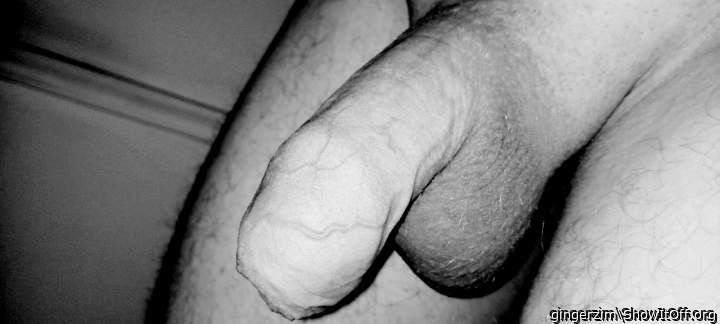 Photo of a horn from gingerzim