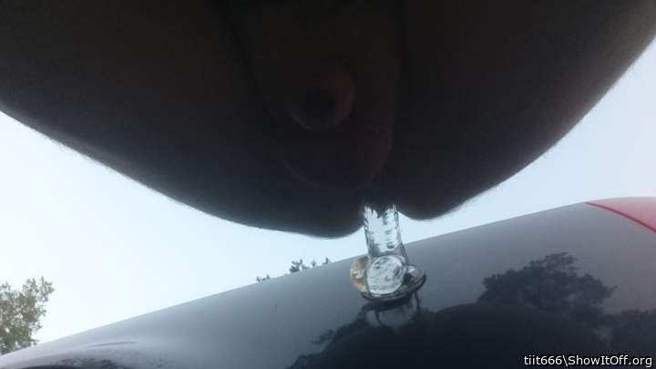 Photo of a cock from tiit666