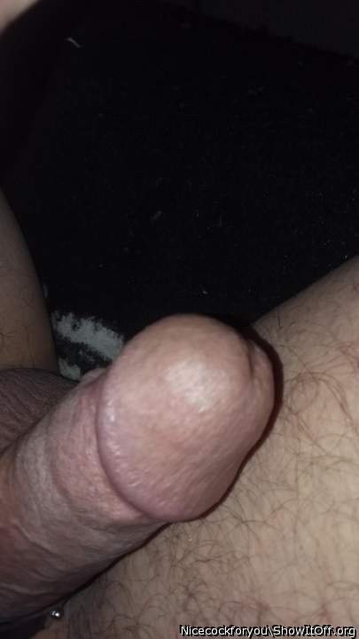 Photo of a weasel from Nicecockforyou