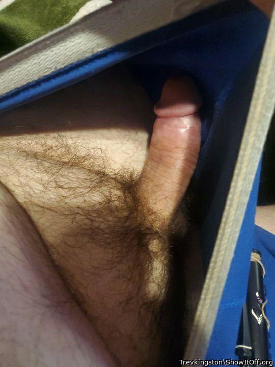 Photo of a private part from Trevkingston