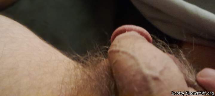 Photo of a short leg from Scotty
