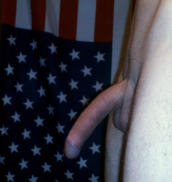 Photo of a cavalier from babarianboy