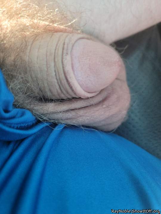 Photo of a third leg from RayNoble