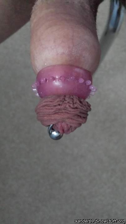 Photo of a dong from xander69
