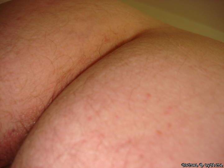 Photo of a weasel from dischwa