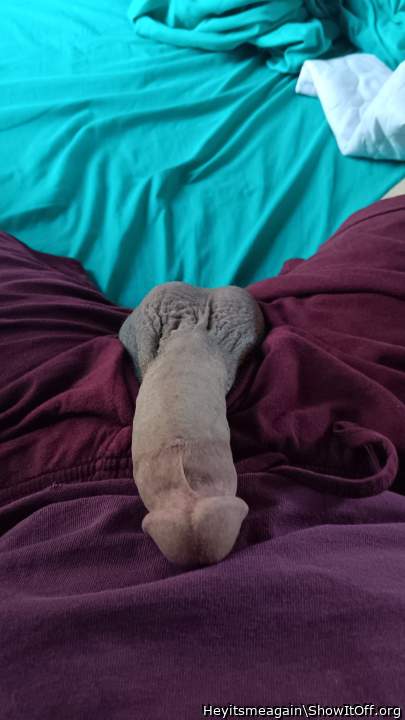 Photo of a snake from Heyitsmeagain