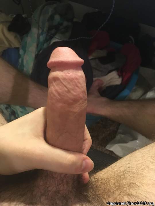 Photo of a cock from chipplanet