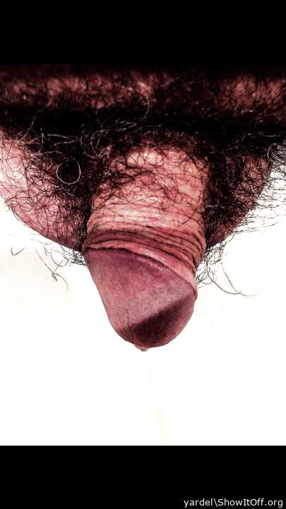 Photo of a ram rod from yardel