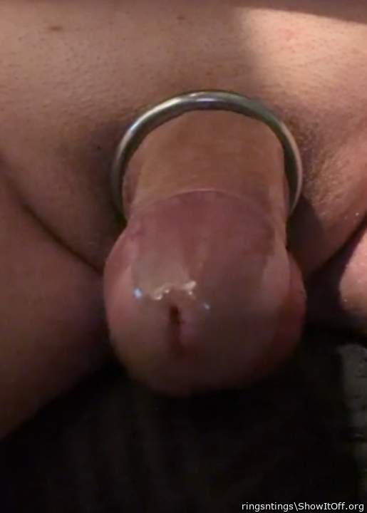 Photo of a dong from ringsntings