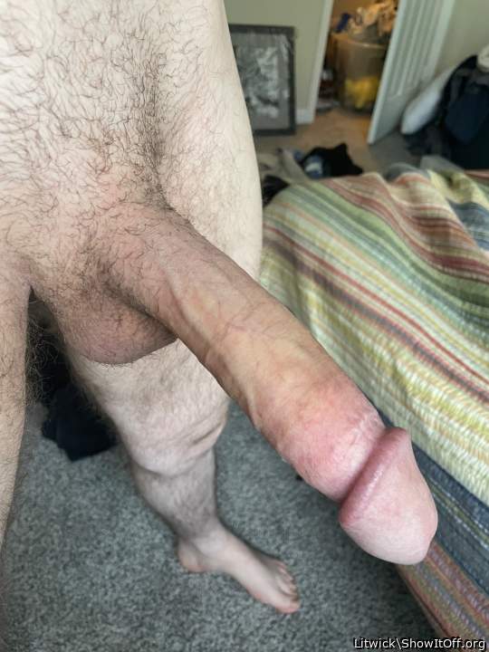 What a beauty    
