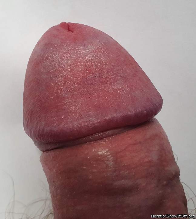 Photo of a tool from Horatio