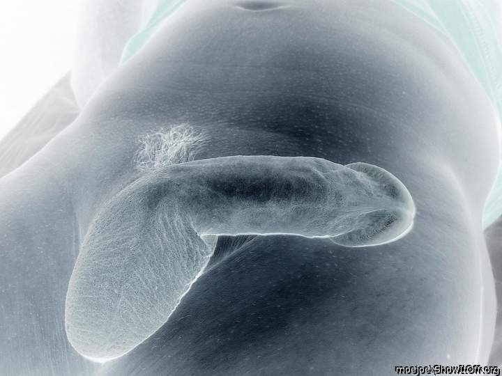 A negative of my penis and sac.....