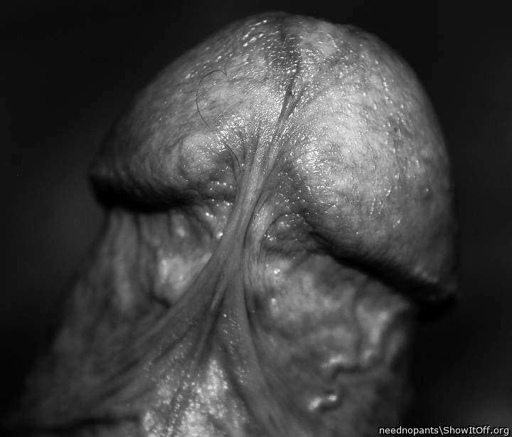 Photo of a thing from neednopants