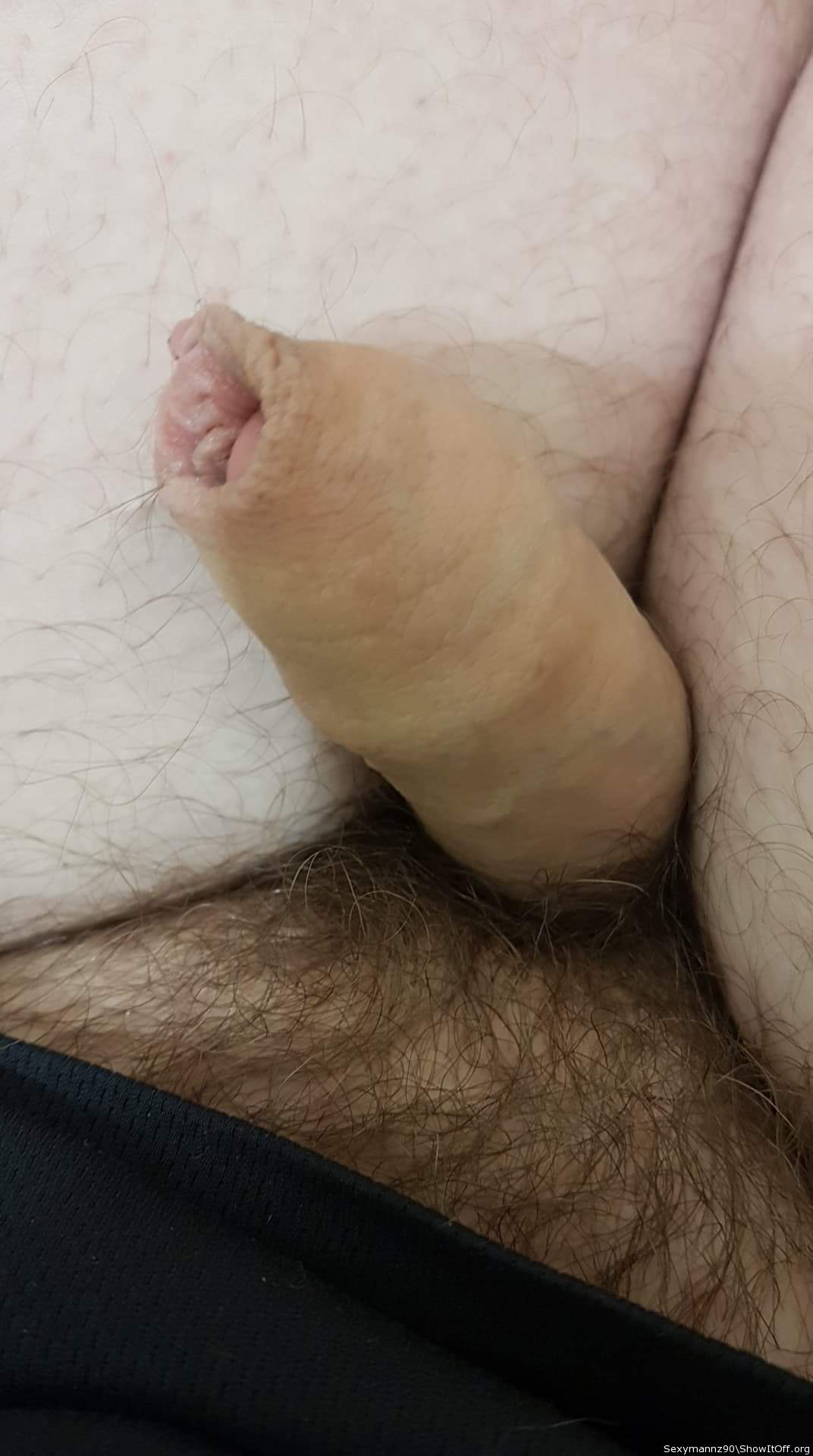 Photo of a weasel from Sexymannz90