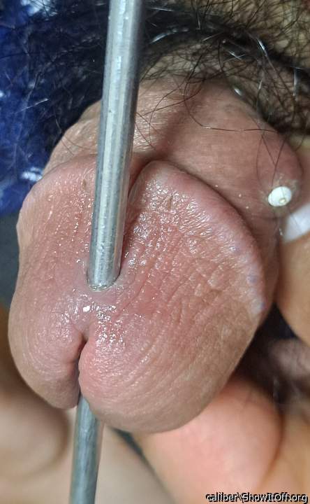 Photo of a short leg from caliber