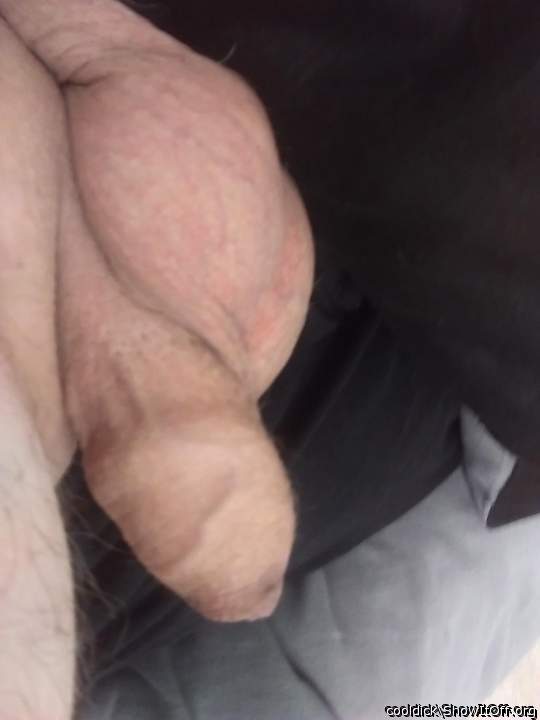 lovely veiny foreskin !!!!